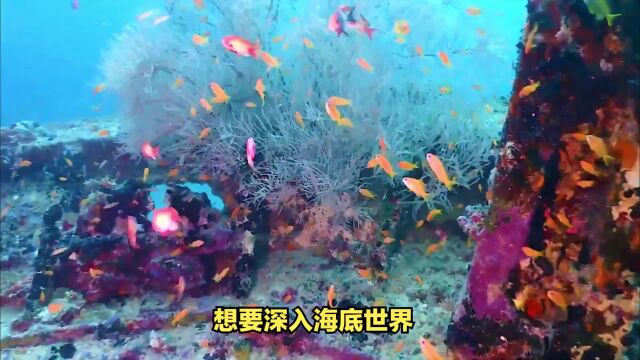 旅游推荐之上海海洋馆