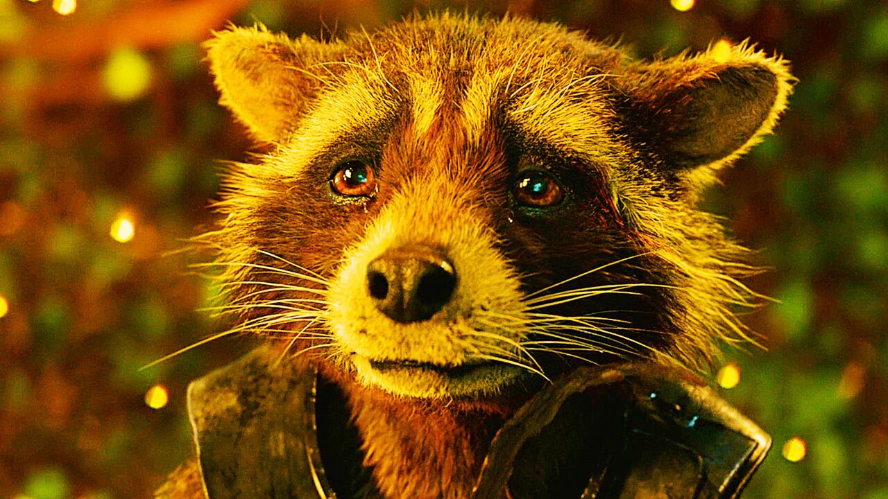 原来火箭浣熊收集假肢都是为了朋友!