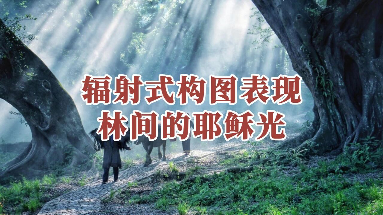 輻射式構圖表現林間的耶穌光