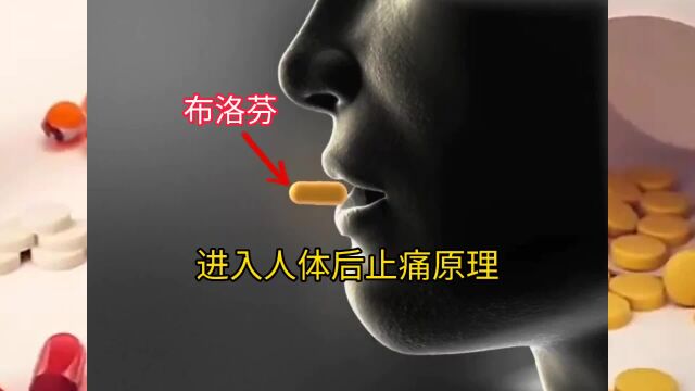 当布洛芬止痛药进入人体后是如何发挥止痛效果的