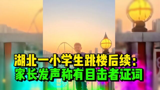 湖北一小学生跳楼后续:家长发声称有目击者证词,更多内幕曝光!