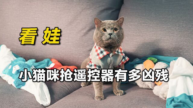 影视:小猫咪抢遥控器有多凶残?竟在玩具火车上大战三百回合!《看娃》