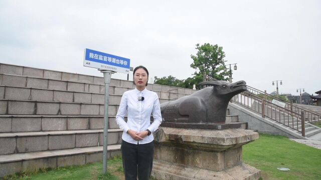 八八战略宣讲海宁盐官旅游度假区