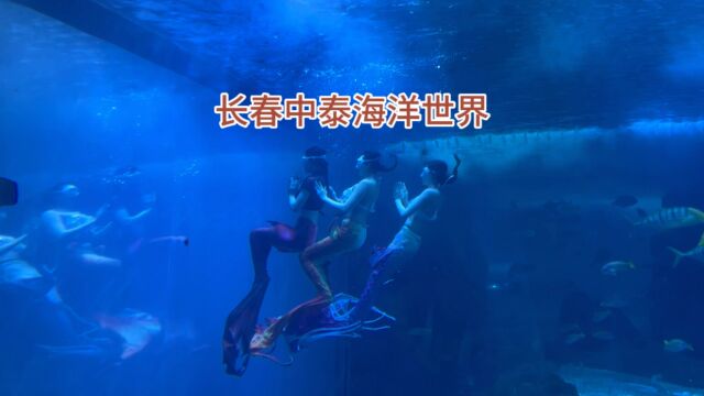 长春中泰海洋世界