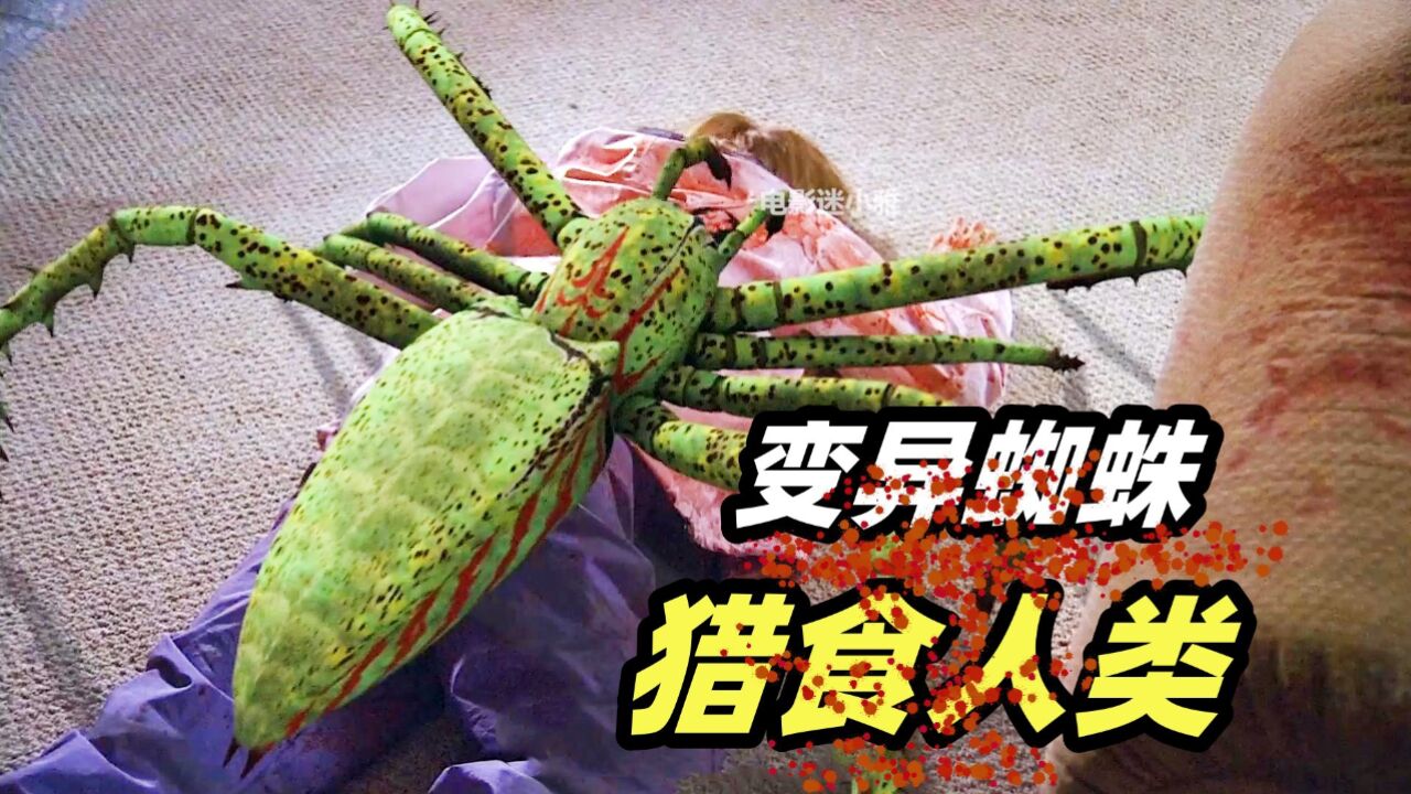 电影《冰冻蜘蛛》