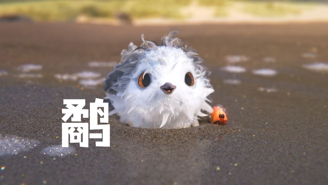 一部极具教育意义的奥斯卡最佳动画短片《鹬》_腾讯视频