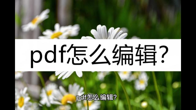 pdf怎么编辑?了解这几种编辑方法就够了