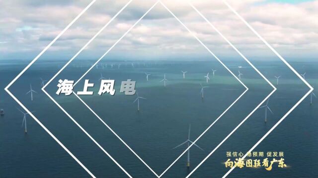 强信心 稳预期 促发展 | “寸海寸金”的中山如何“点海成金”?