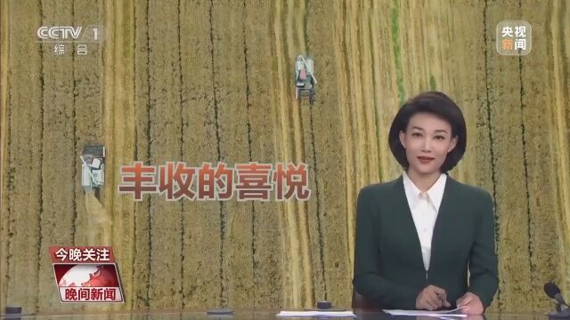 换个角度“瞰”田野 一起来感受色彩之下的丰收喜悦