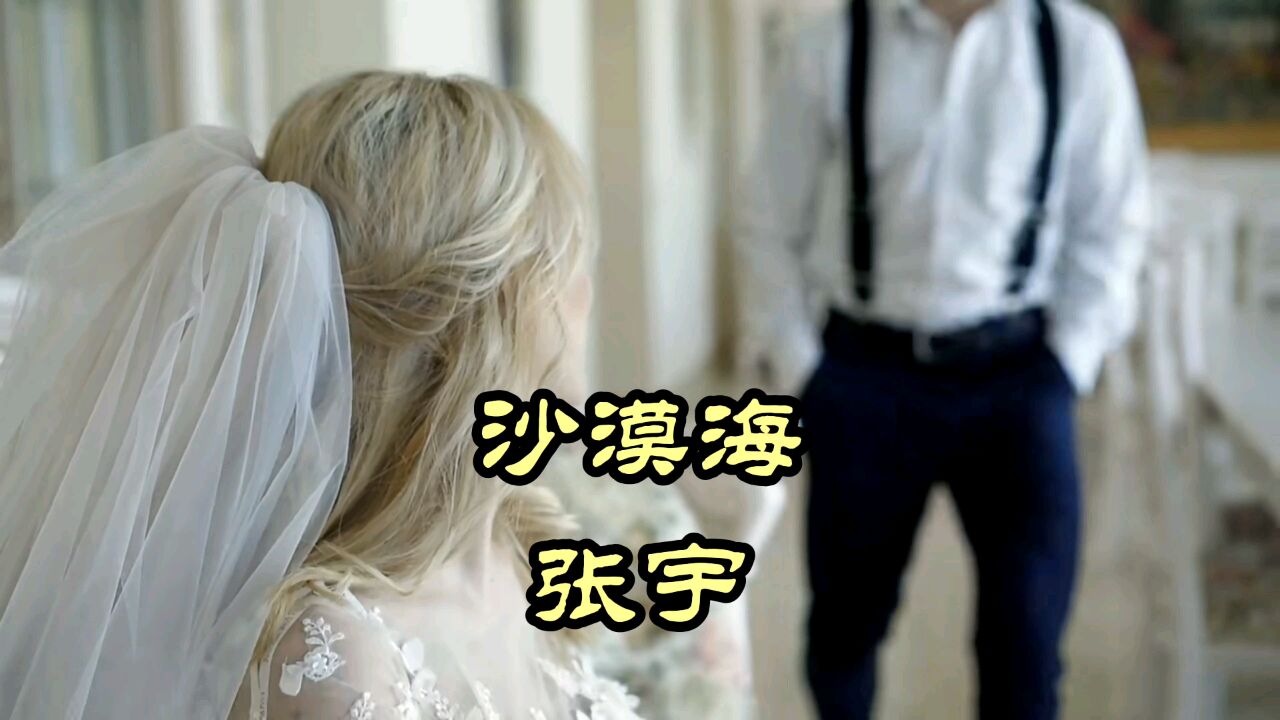 沙漠海—张宇