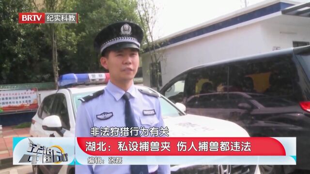 私设捕兽夹,伤人捕兽都违法