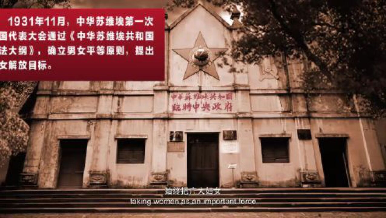 妇女权益保障法——给每一位女性绽放的力量_高清