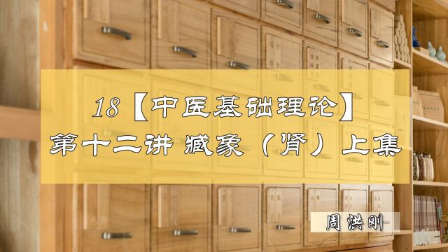 18【中医基础理论】第十二讲——藏象(肾)(上集)