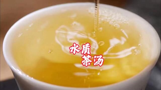 不同水质对茶汤品质有影响吗?#爱喝茶的关注我 #召唤茶友