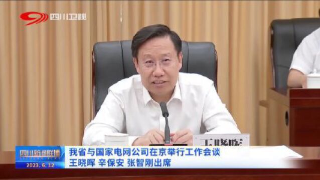 四川要闻丨四川省与国家电网公司在京举行工作会谈 王晓晖辛保安张智刚出席