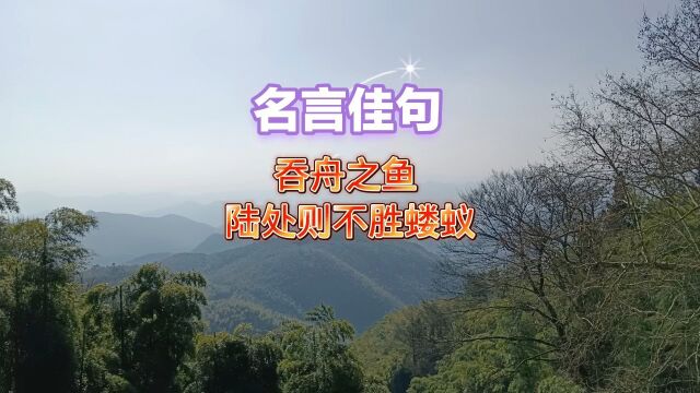 吞舟之鱼 陆处则不胜蝼蚁