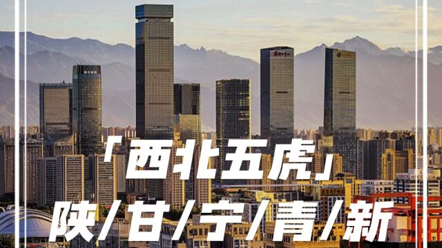 何为“西北五虎”?西北五虎是指西北地区的五个省区,分别是陕西、甘肃、宁夏、青海、新疆.#西北五虎 #陕西 #甘肃 #新疆 #超燃