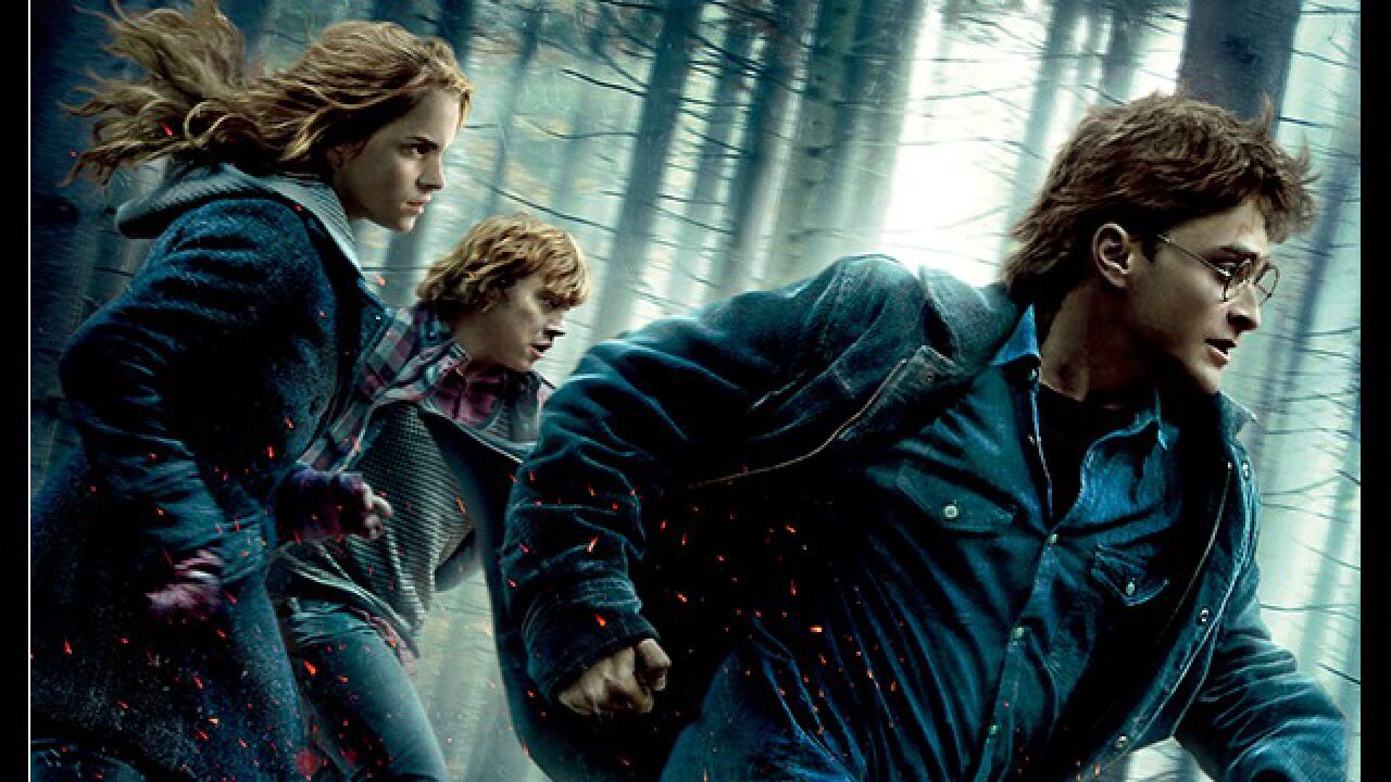 哈利波特系列终局之战 ,究竟谁才是最终的赢家《哈利波特7上》一剪