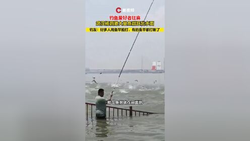 武汉杨泗港大量鱼群跃出水面，钓友：好多人用鱼竿拍打，有的鱼竿都打断了