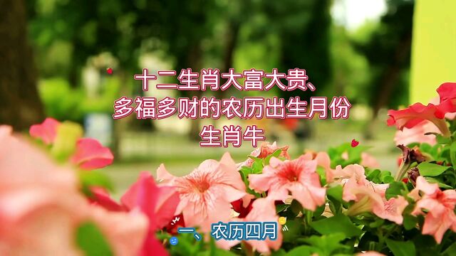 十二生肖大富大贵、多福多财的农历出生月份之生肖牛