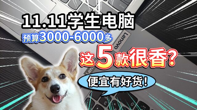 【11.11学生电脑】预算30006000多,这5款很香?