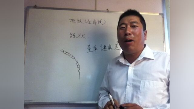 手相自学14