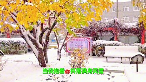 雪落下的情结【11月6日】