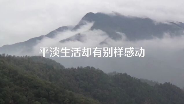 大山深处好风景