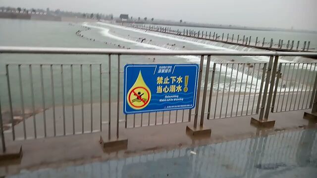 雨中的滹沱河二号溢流堰台西湖