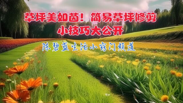 草坪修剪小技巧:轻松打造整齐美丽的草坪