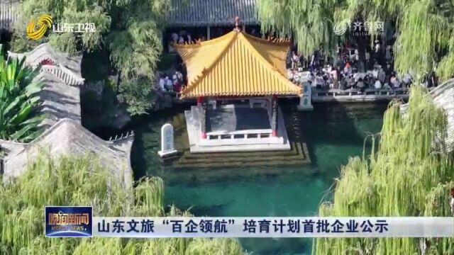 山东文旅“百企领航”培育计划首批企业公示