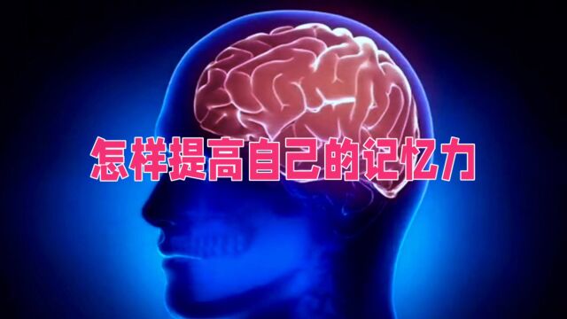 你知道如何提高自己的记忆力吗?