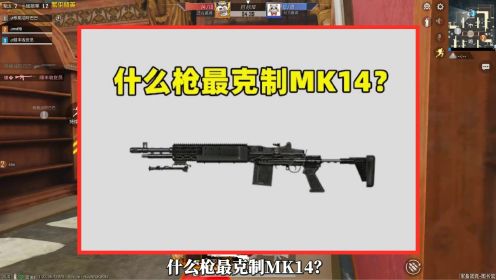 什么枪最克制MK14？在它们面前，MK14也得叫“哥”