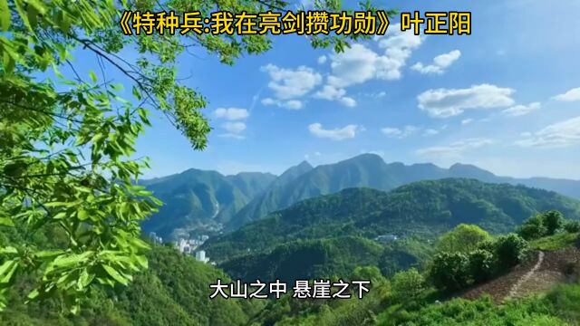 《特种兵:我在亮剑攒功勋》◇叶正阳全文免费阅读【无弹窗】