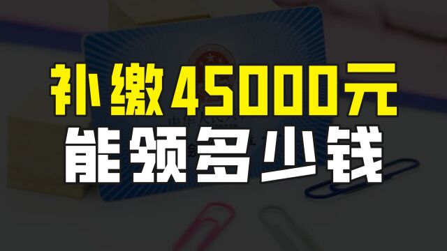 黑龙江城乡居民养老保险,一次性补缴45000元,每个月能领多少养老金