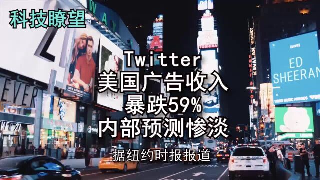 Twitter美国广告收入暴跌59%,内部预测惨淡