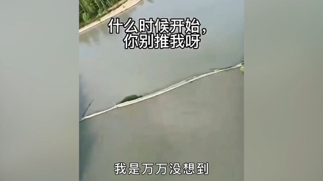 游乐园卖票开始内卷,不仅蹦极带票,老板也亲自登场.