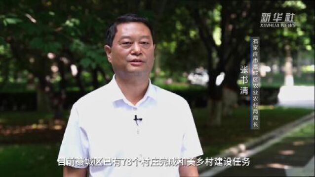 石家庄藁城:和美乡村托起群众幸福生活