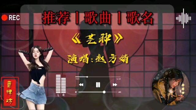 每日音乐《芒种》