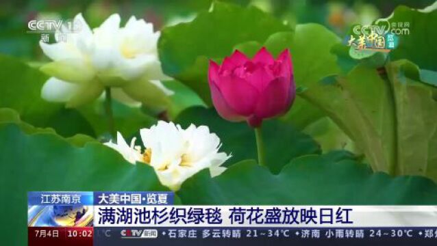 江山如此多娇 感受各地夏日美景的迷人魅力