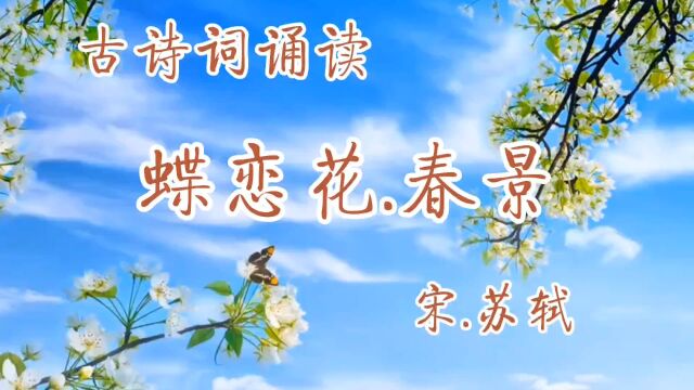 古诗词诵读:《蝶恋花.春景》宋.苏轼