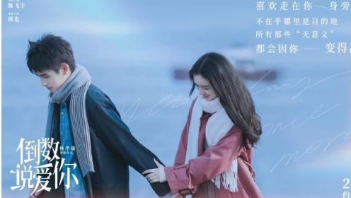 《倒数说爱你》影片讲述了谷雨轩与韩书妍两人儿时相遇结缘，在错过多年后，两人再度相遇并相恋。