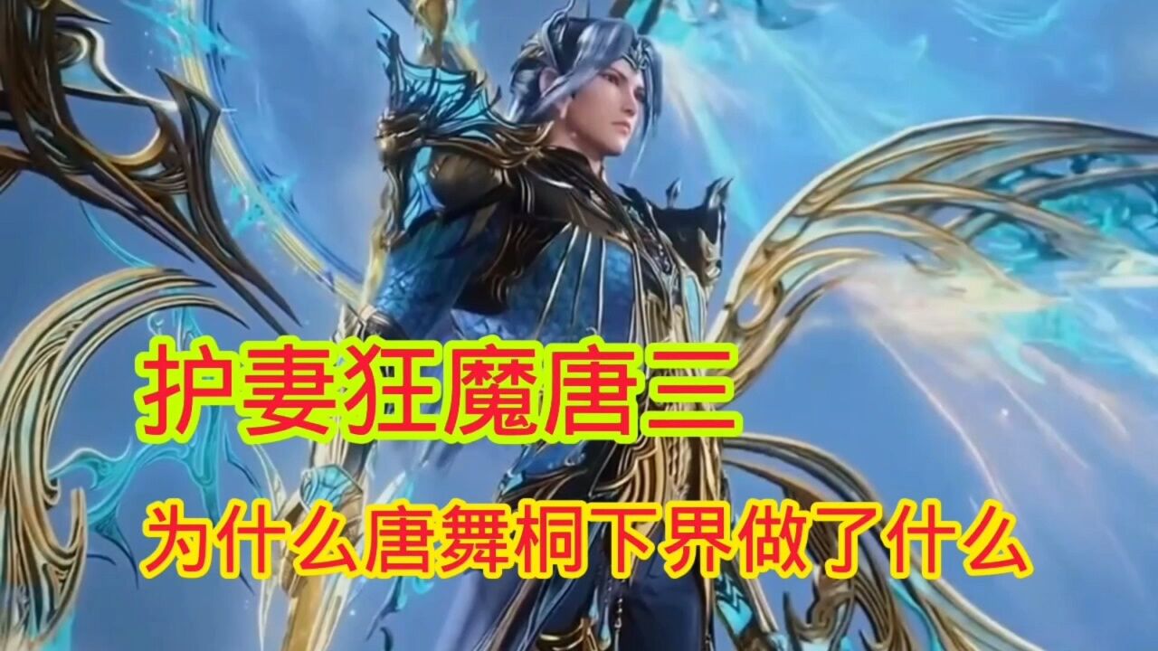 斗罗大陆‖绝世唐门:护妻狂魔唐三为唐舞桐都做了什么_高清1080P在线观看平台_腾讯视频
