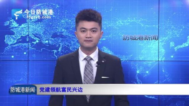 防城港√党建领航富民兴边