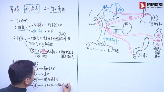 消化系统门静脉高压症