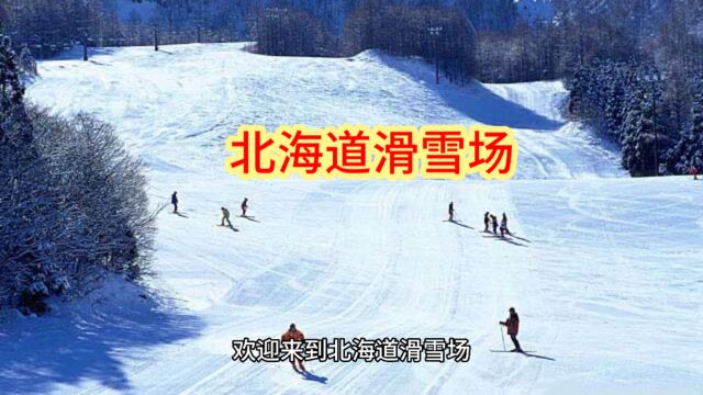 北海道的滑雪场