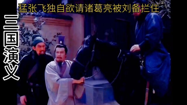 三国演义:诠释刘备三顾茅庐拜请诸葛亮的故事…吸晴一感人