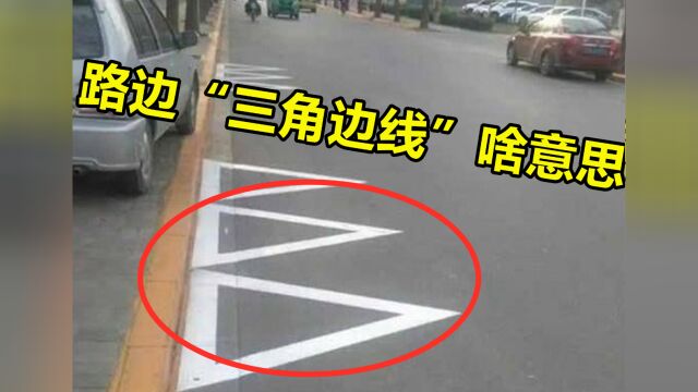 路边“三角边线”啥意思?不少车主被扣光12分,交警:都是自找的