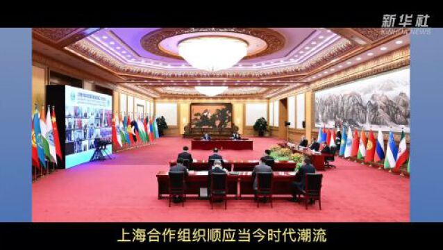 在上海合作组织峰会上 习近平提出五点建议