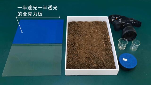 探究非生物因素对某种动物的影响